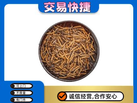 泉州泉港区高价回收散虫草
